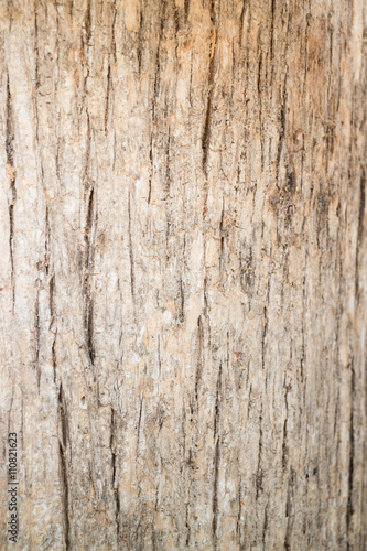 Classic old wooden texture background