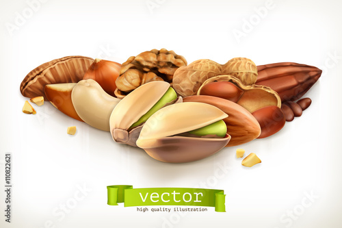 Nuts, vector illustration isolated on white