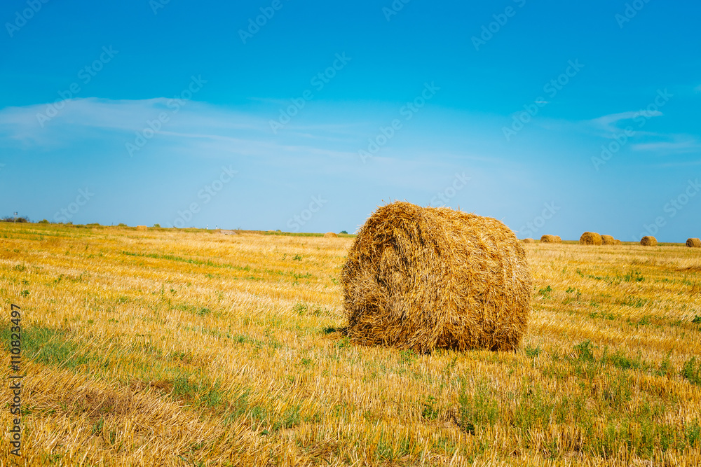 Rural Landscape Field Meadow With Hay Bale After Harvest in Sunn
