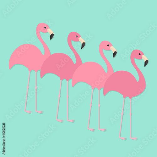 Four pink flamingo set. Exotic tropical bird. Zoo animal collection. Cute cartoon character. Decoration element. Flat design. Blue background. Isolated.