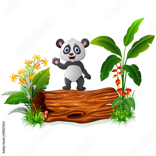 Fototapeta Naklejka Na Ścianę i Meble -  Cute baby panda posing on tree trunk