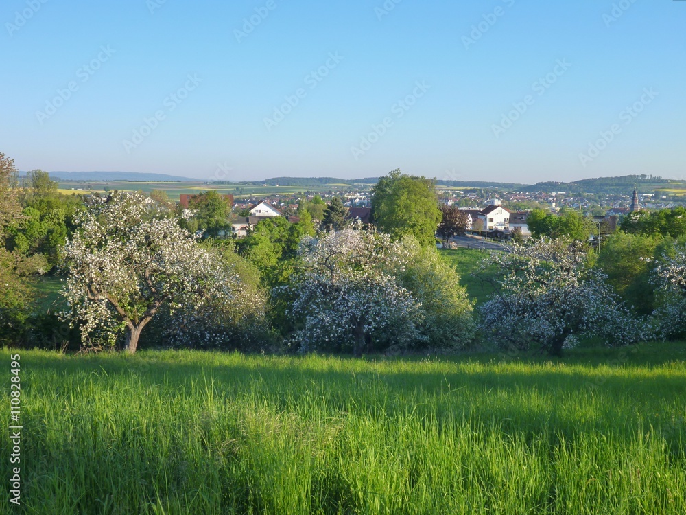 rural landscape with fields and village in background