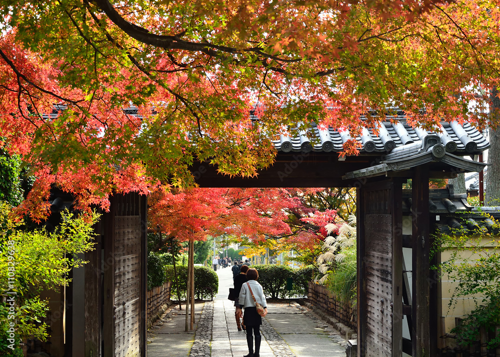 龍安寺参道 紅葉 秋 Autumn Foliage Of Ryouanji Temple Kyoto Japan Stock Photo Adobe Stock 龍安寺参道 紅葉 秋 Autumn Foliage Of Ryouanji Temple Kyoto Japan Stock Photo Adobe Stock