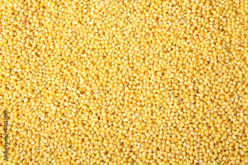 yellow millet close-up view of the texture