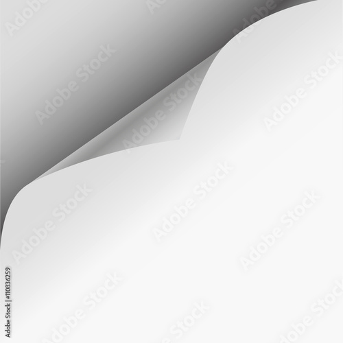 Paper Corner Folds - Set of four paper corner folds isolated on white background