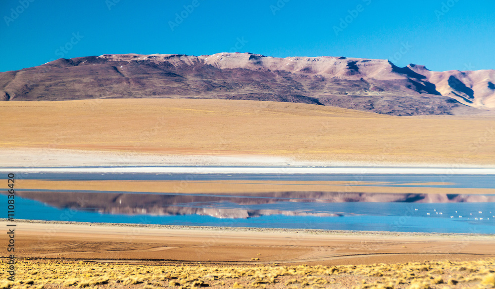 Laguna Collpa lake on bolivian Altiplano