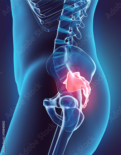 3D illustration of Sacral Spine, medical concept. photo
