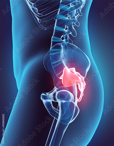 Slika na platnu 3D illustration of Sacral Spine, medical concept.