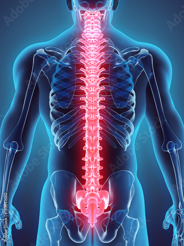 Quadro su tela 3D illustration of Spine, medical concept.