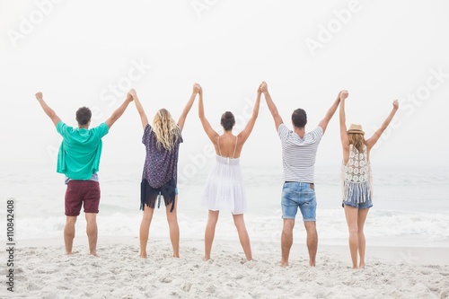 Rear view of friends holding hands and standing in a row