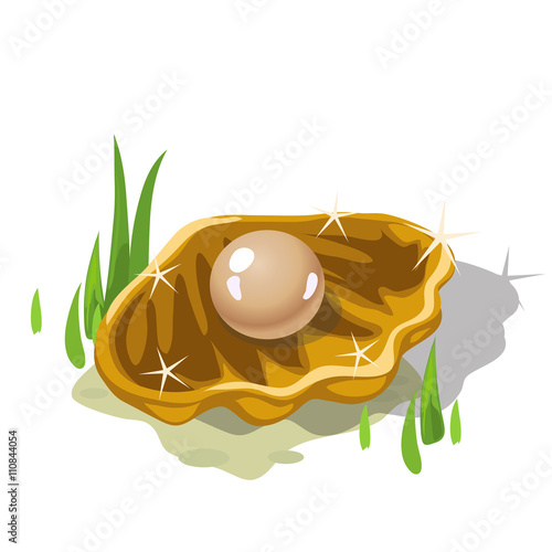 Single beige pearl in a Golden shell nad grass