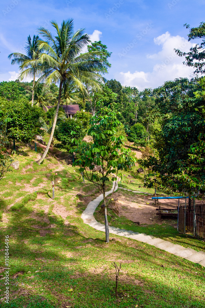 Tropical park landscape view. Vertical portrait orientation Tropical park landscape view. Vertical portrait orientation