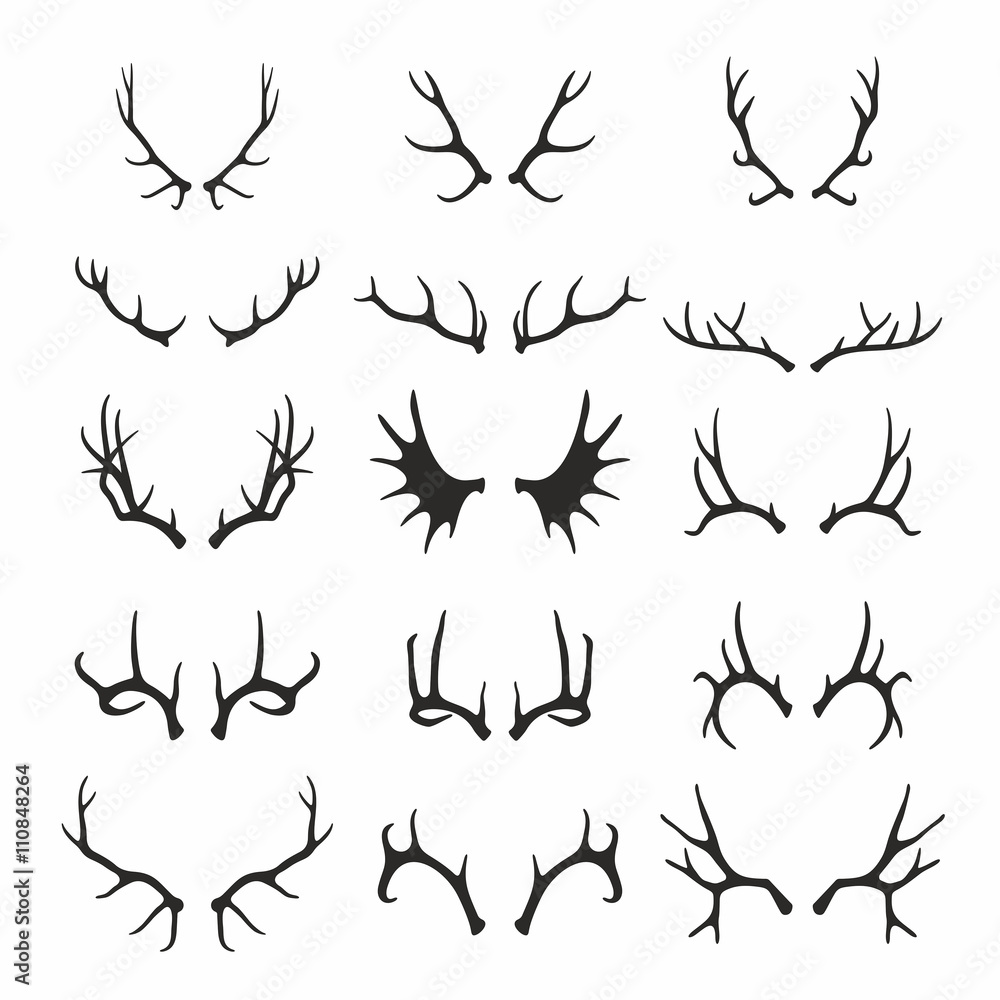 Fototapeta premium Deer antlers set