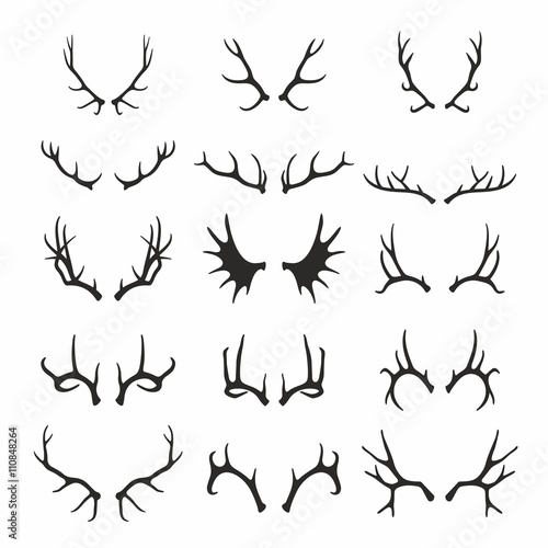 Deer antlers set © volyk