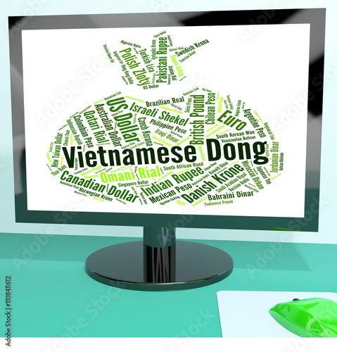 Vietnamese Dong Means Foreign Exchange And Banknotes photo