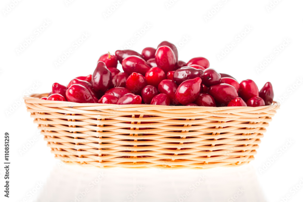 Wicker basket with red dogwood berries. Wicker basket with red dogwood berries.