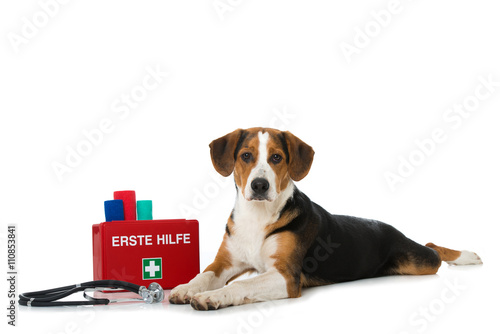 Fototapeta Naklejka Na Ścianę i Meble -  Hund mit Erste Hilfe Koffer