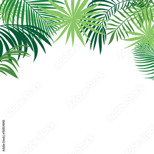 tropical palm leaves banner