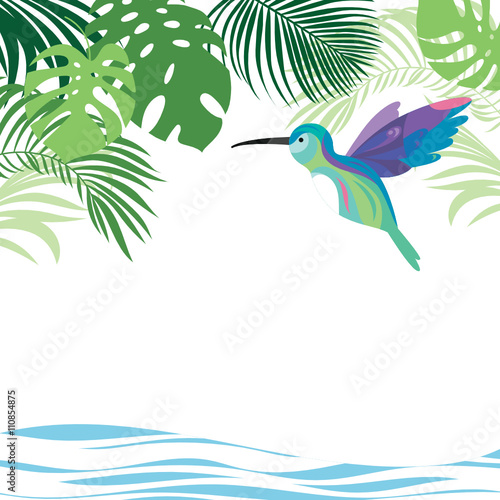 tropical illustration