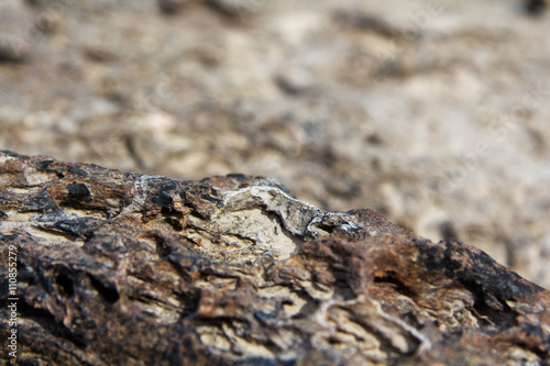 Close up of texture on a rock