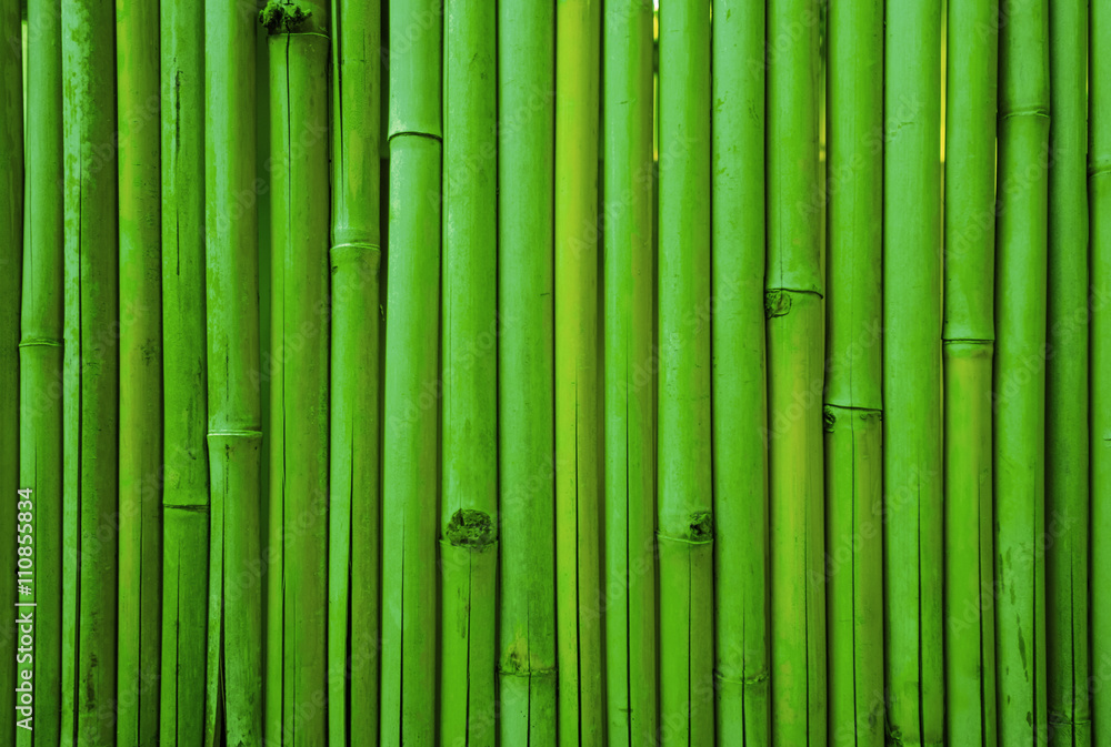Naklejka Green bamboo fence texture