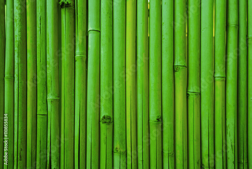 Fototapeta Naklejka Na Ścianę i Meble -  Green bamboo fence texture