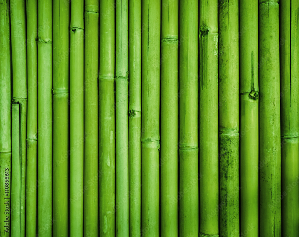 Naklejka Zielona bambusowa płotowa tekstura, bambusowy tło, tekstury tło, bambusowy las
