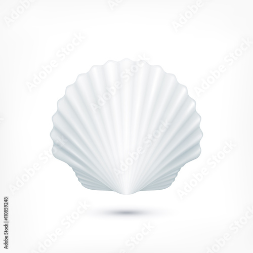 Scallop seashell of mollusks icon sign