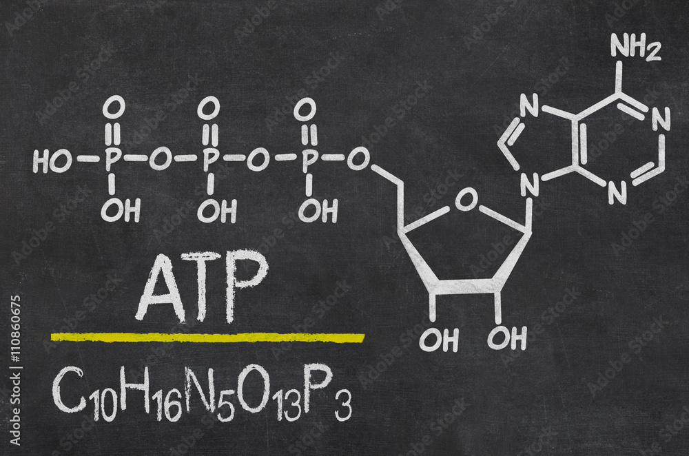 Schiefertafel mit der chemischen Formel von ATP Schiefertafel mit der chemischen Formel von ATP