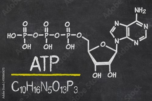 Schiefertafel mit der chemischen Formel von ATP photo