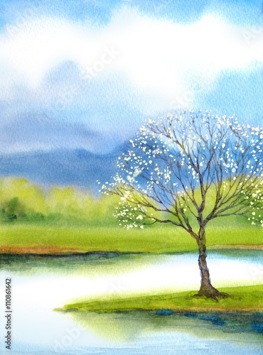 Watercolor landscape. Flowering pink tree by the lake