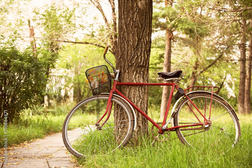 Vintage bicycle near tree