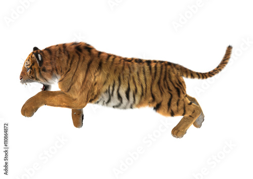 Fototapeta Naklejka Na Ścianę i Meble -  3D Rendering Tiger on White