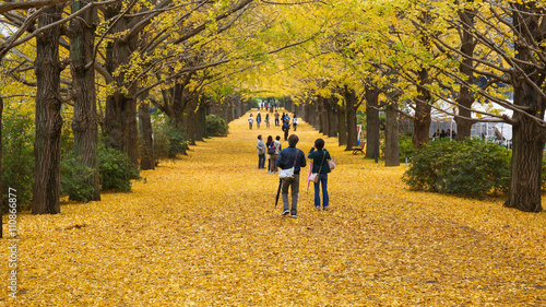 Photography Showa Kenen Park