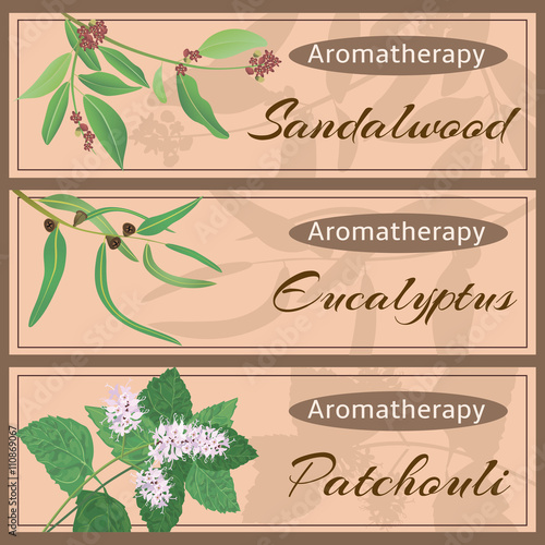 Aromatherapy set collection.
