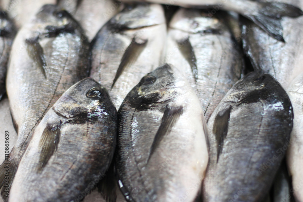 Background of fresh fish prepared for sale Background of fresh fish prepared for sale