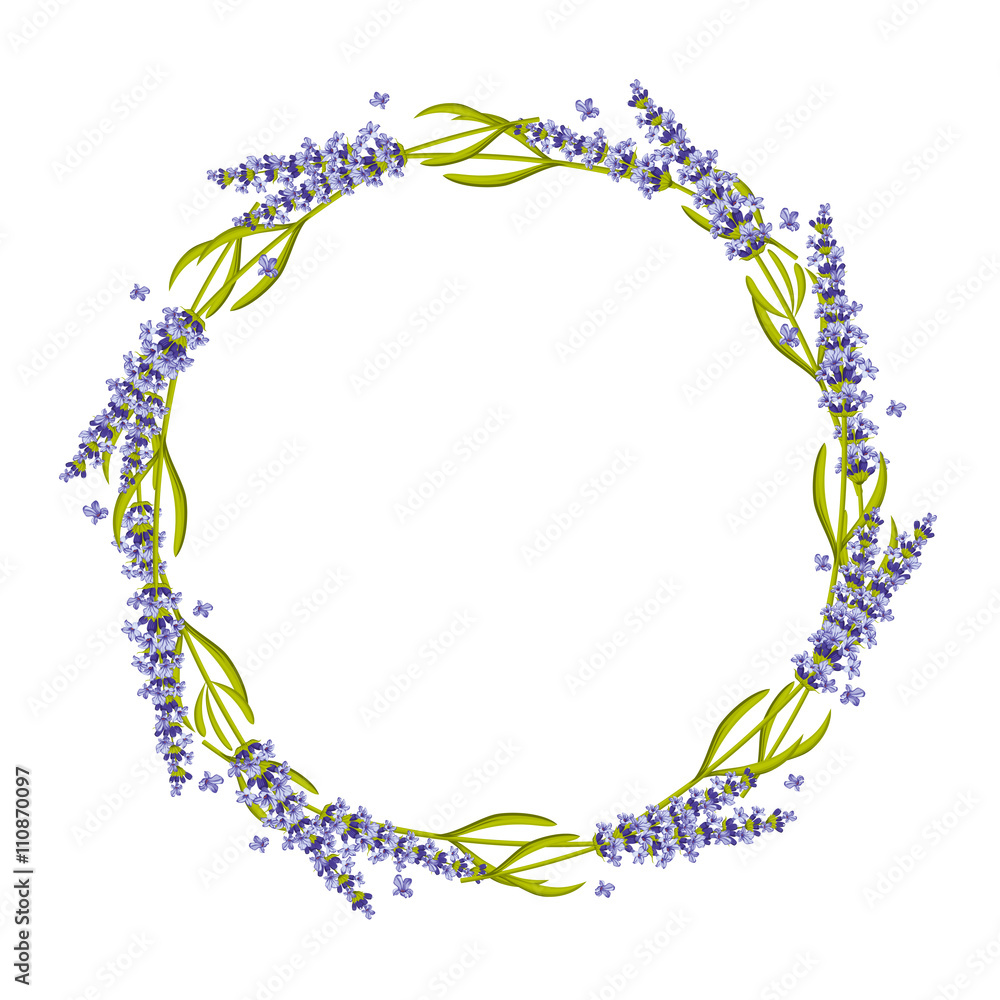 Lavender round frame, wreath. Floral lavender frame, flower wreath nature lavender plant. Vector illustration Lavender round frame, wreath. Floral lavender frame, flower wreath nature lavender plant. Vector illustration