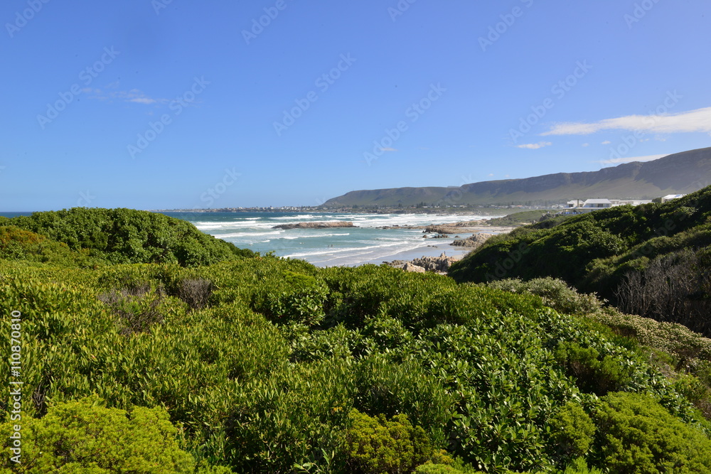 A rocky cove at Hermanus bay in South Africa