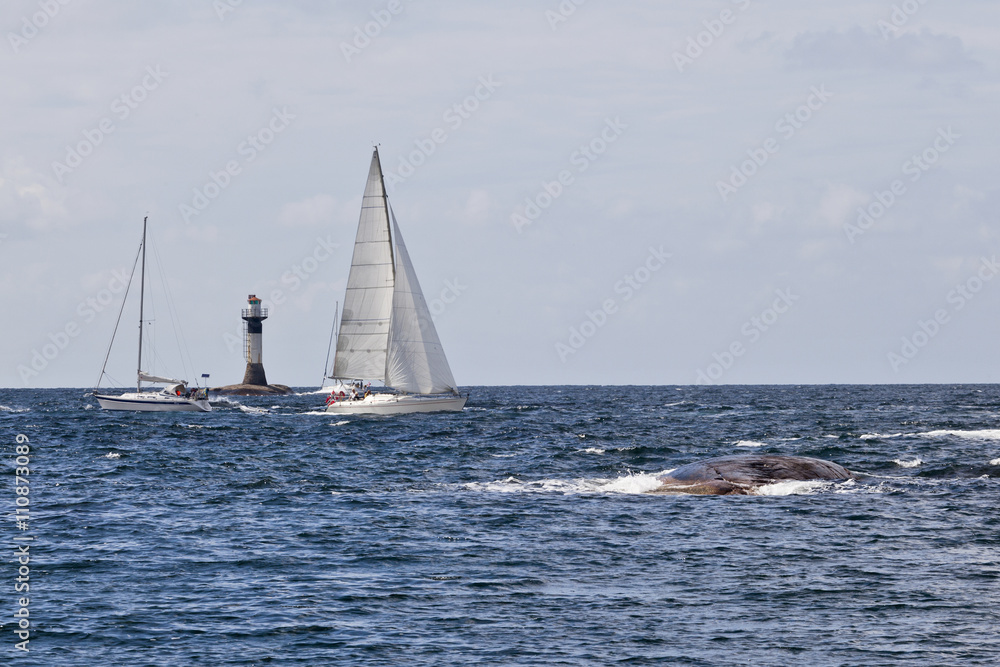 Obraz premium Pleasure boats