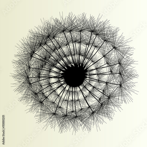 Abstract dandelion background vector Illustration spring