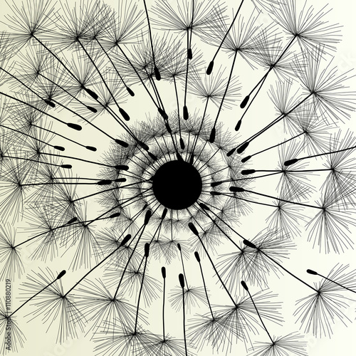 Abstract dandelion background vector Illustration spring
