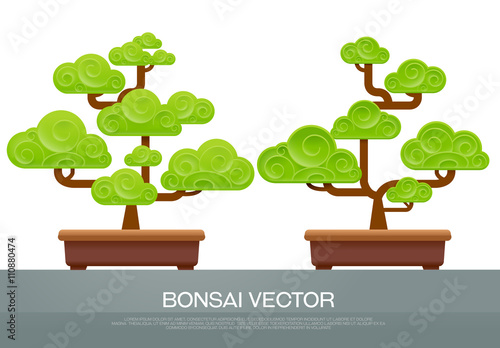 bonsai