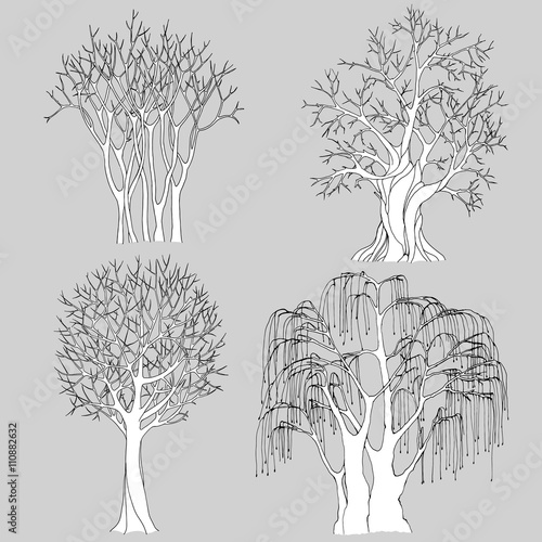 A set of four bare trees drawn with black outlines, with detailed branches and twigs. Vector illustration for coloring pages or other.
