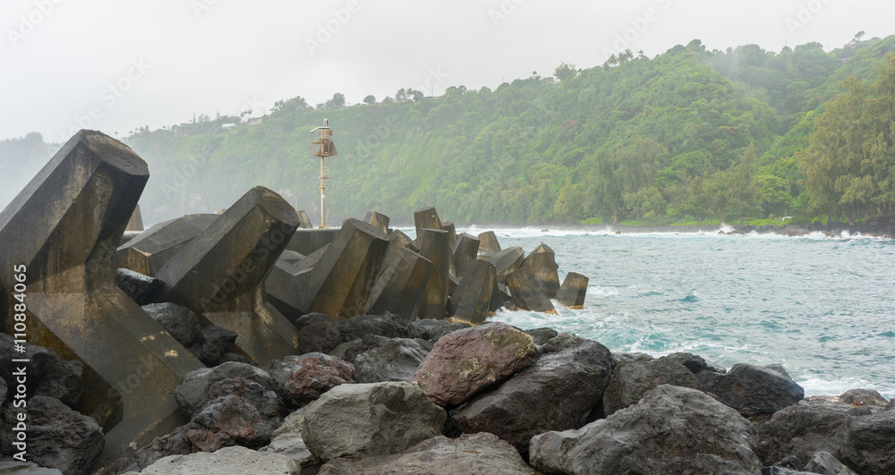 Fototapeta premium Tetrapod barrier at Laupahoehoe point