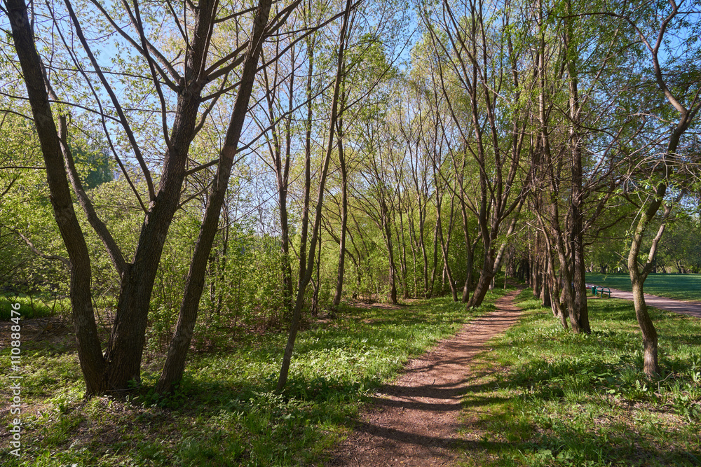 Obraz premium Walking on footpath