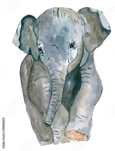 Naklejka na ścianę Słoń . Ręcznie robiony rysunek akwareli. Do projektowania i drukowania.
