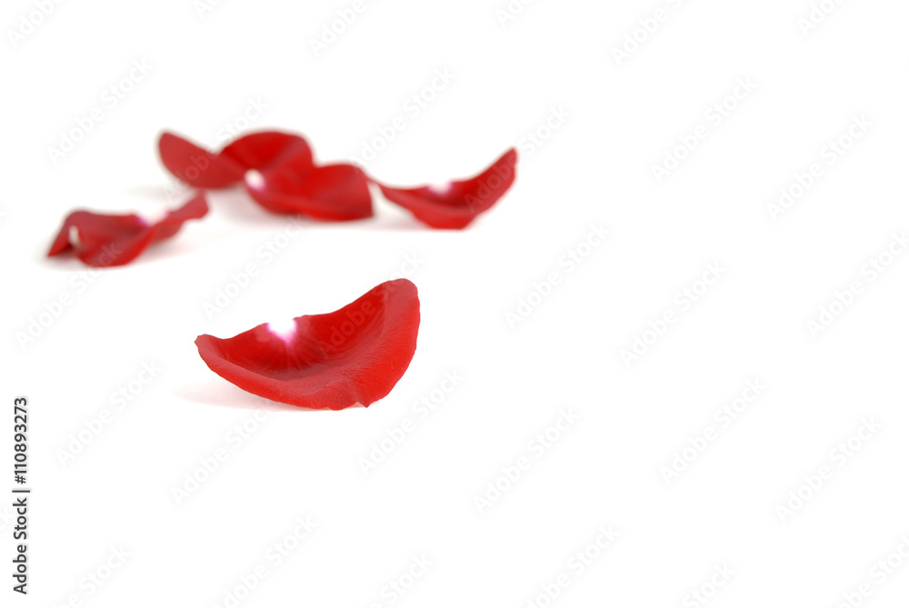 Fototapeta premium Rose Petals Representing Love and Romance