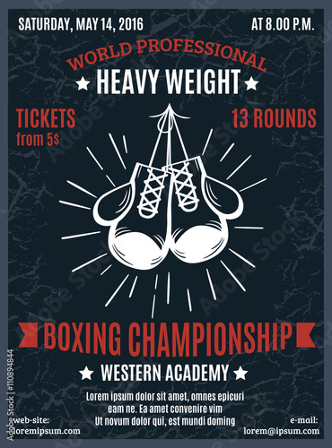 Boxing Professional Championship Poster