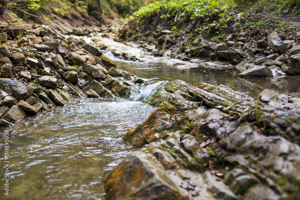 Fototapeta premium Mountain river flowing through the green forest