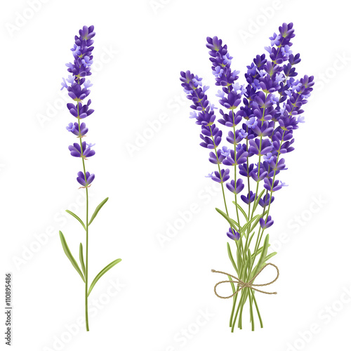 Canvas Print Lavender Cut Flowers Realistic Image